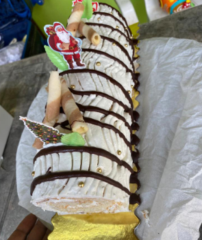 Bûche de Noel-Crème Bio