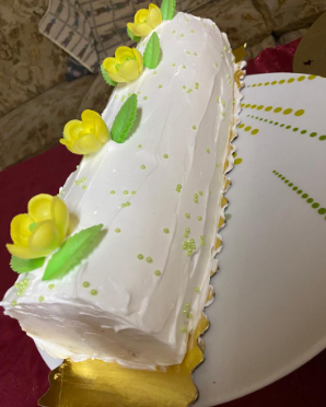 Bûche de Noel-Crème Bio