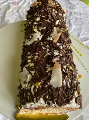 Bûche de Noel-Crème Bio